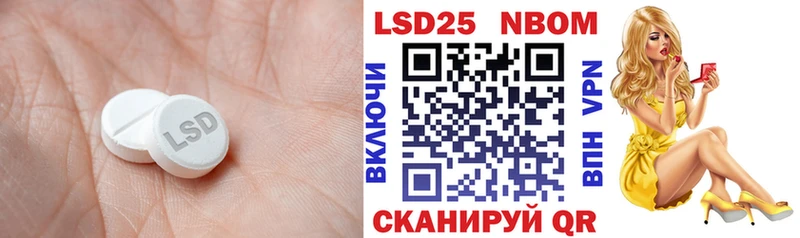 Купить закладки  Нолинск  Лсд 25 экстази ecstasy 