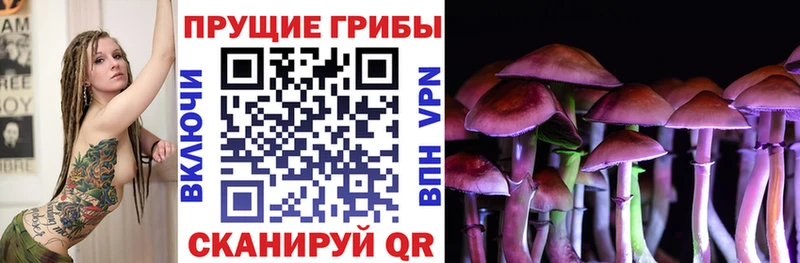 Купить  Нолинск  Псилоцибиновые грибы GOLDEN TEACHER 